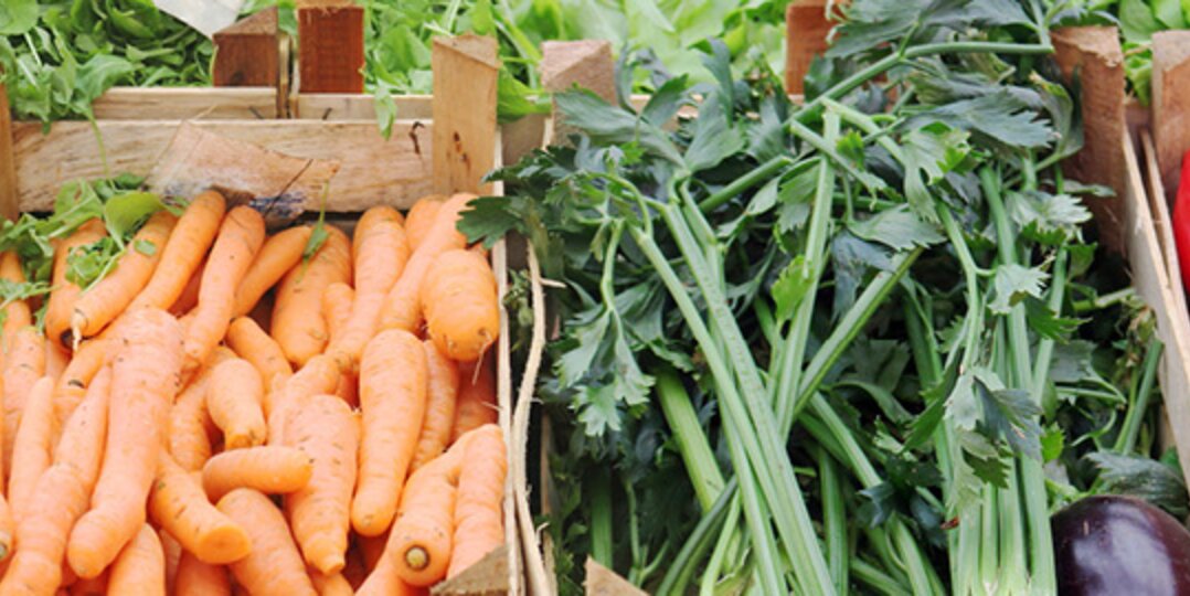 Vegetables in wooden boxes 
